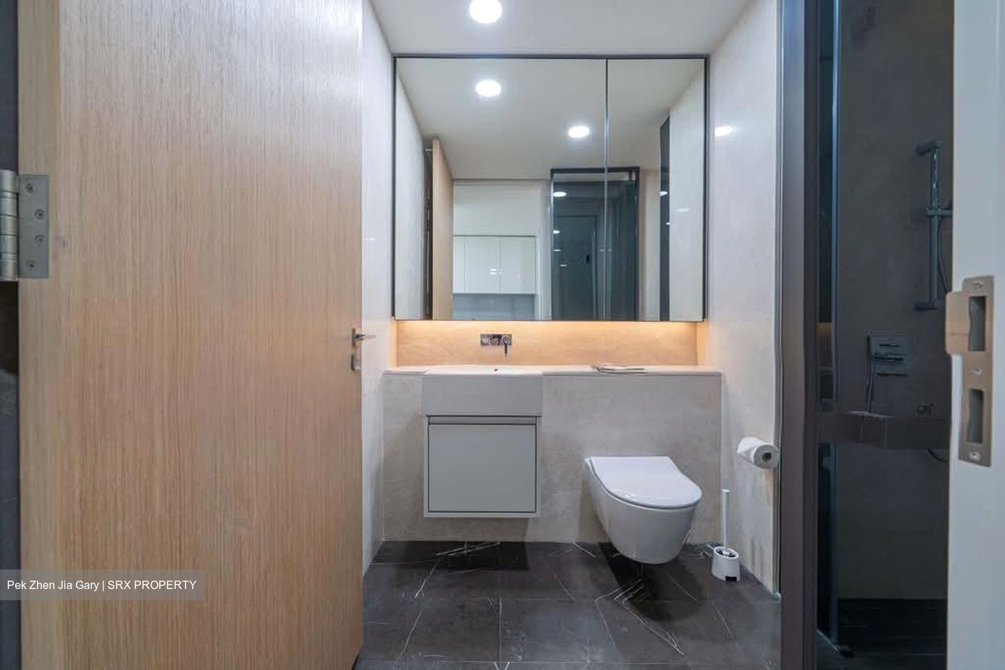 Amber Park (D15), Condominium #563311481